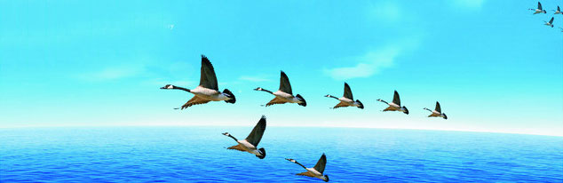 1523425110378593.jpg 20130417112717_3908.jpg